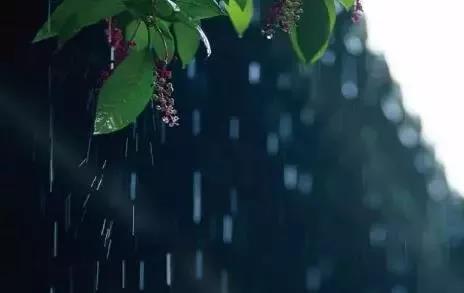 微信图片_20180726092736.jpg